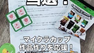 マイクラカップ作品作りを応援！キャンペーン当選！