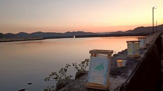 ９月のそうごキッズ